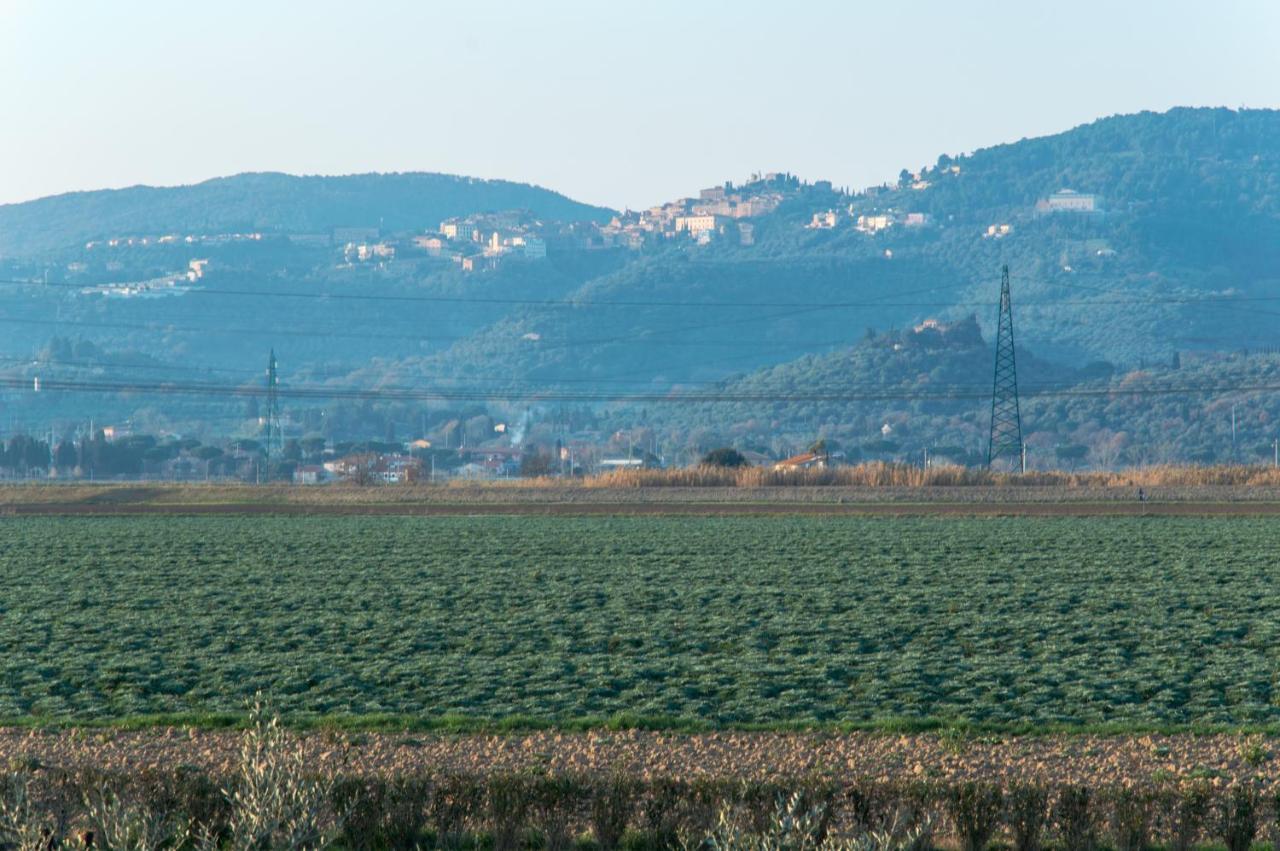 Agriturismo Il Cuscino Nel Pagliaio Campiglia Marittima Zewnętrze zdjęcie