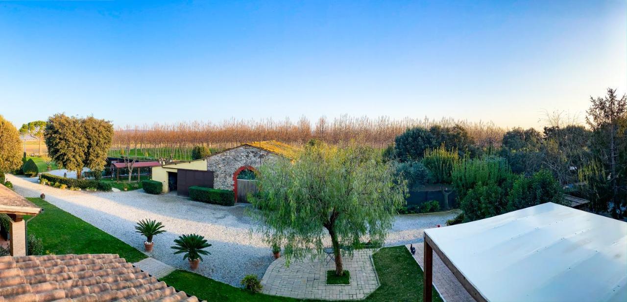 Agriturismo Il Cuscino Nel Pagliaio Campiglia Marittima Zewnętrze zdjęcie
