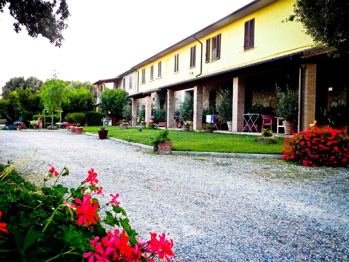 Agriturismo Il Cuscino Nel Pagliaio Campiglia Marittima Zewnętrze zdjęcie