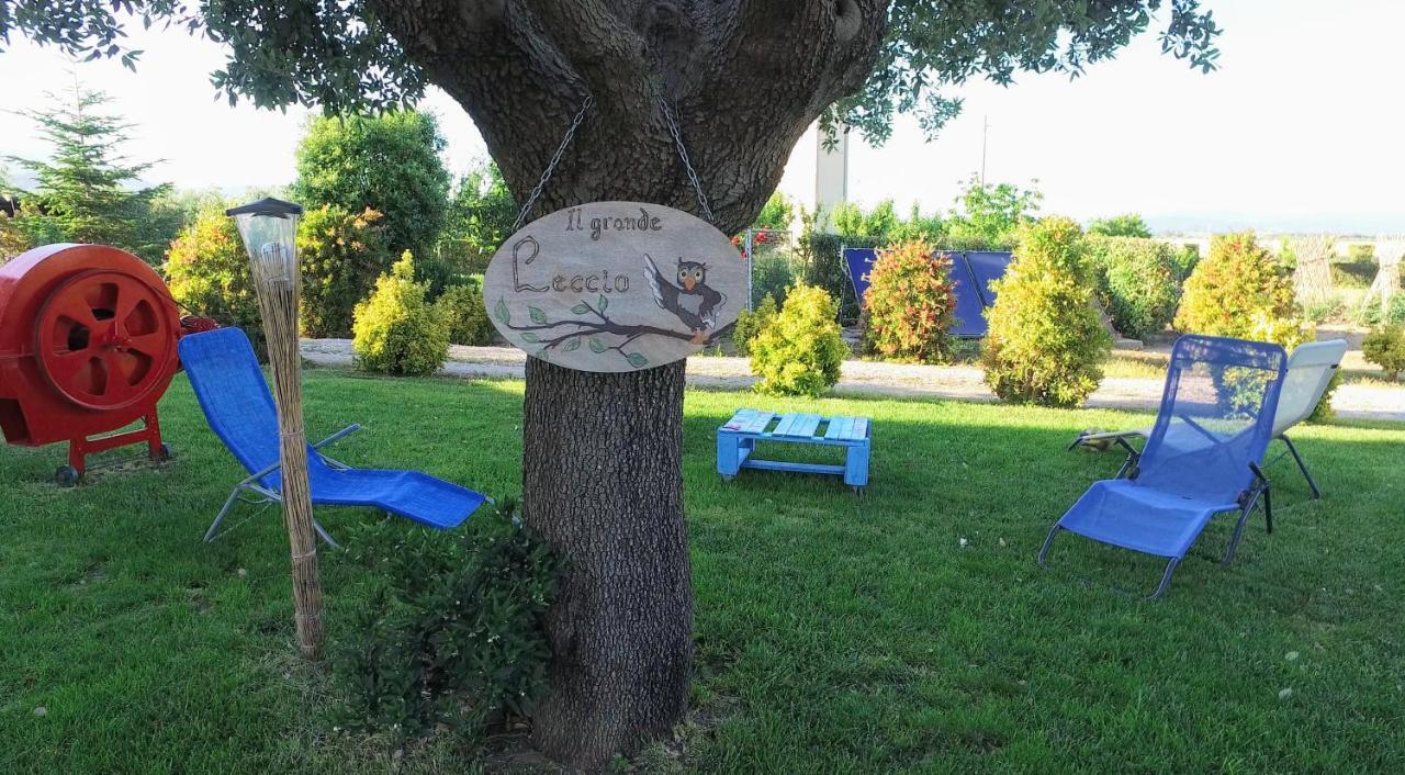 Agriturismo Il Cuscino Nel Pagliaio Campiglia Marittima Zewnętrze zdjęcie