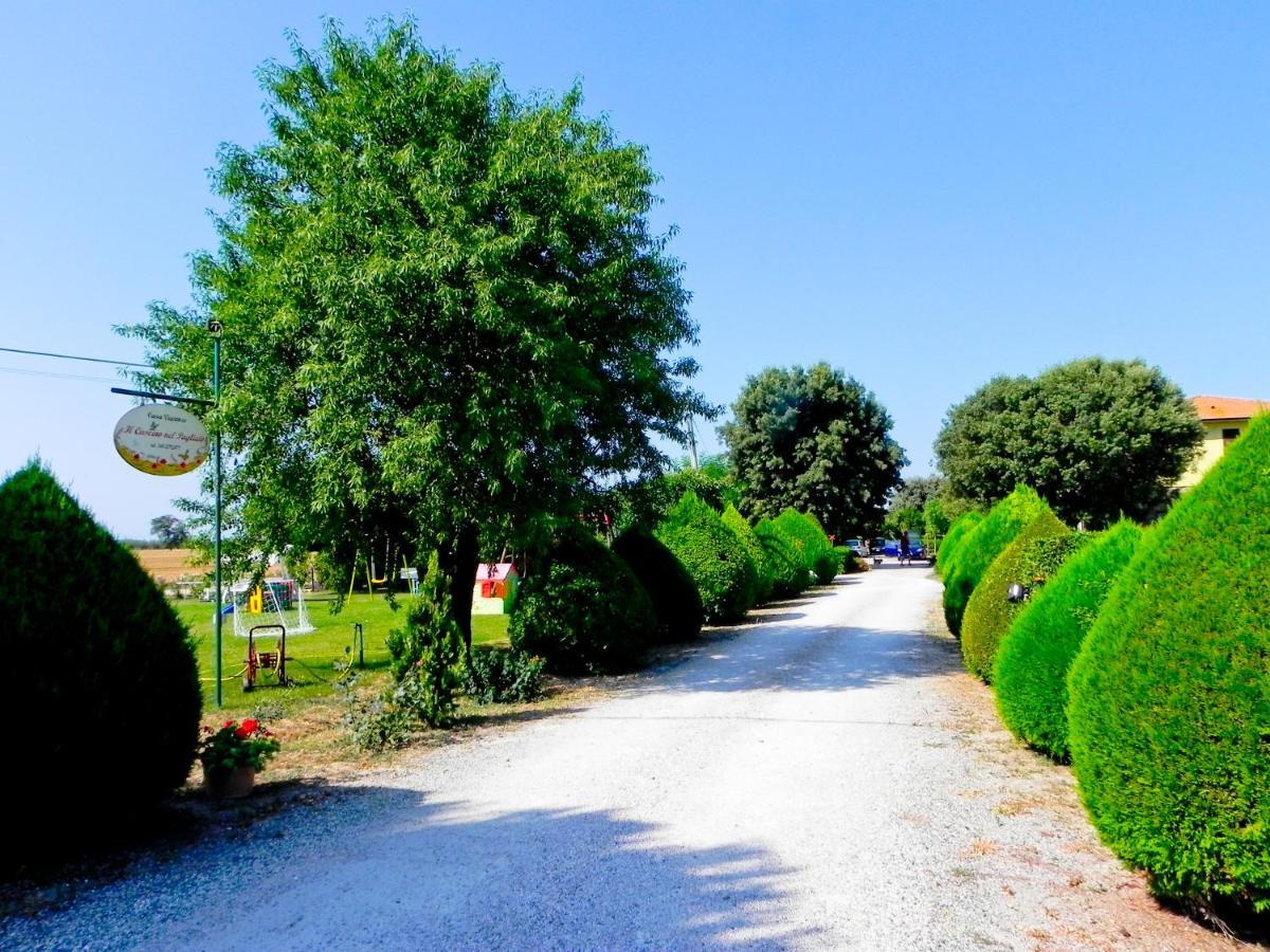 Agriturismo Il Cuscino Nel Pagliaio Campiglia Marittima Zewnętrze zdjęcie