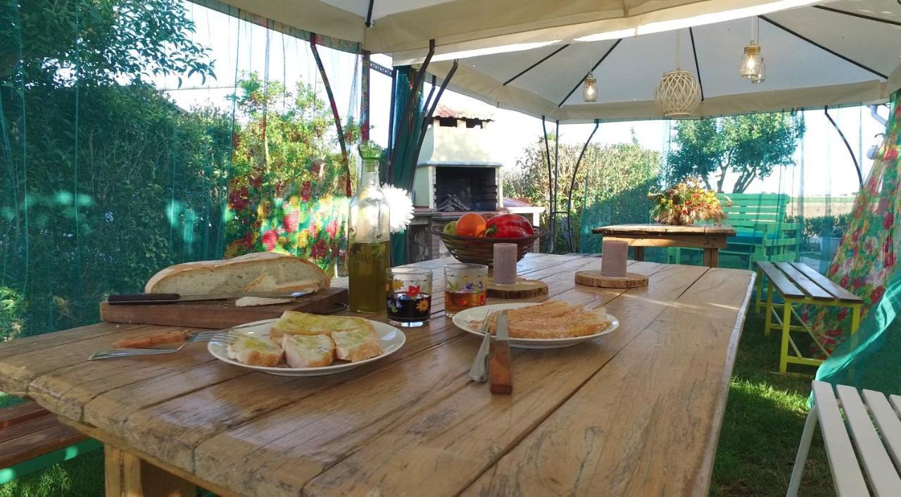 Agriturismo Il Cuscino Nel Pagliaio Campiglia Marittima Zewnętrze zdjęcie