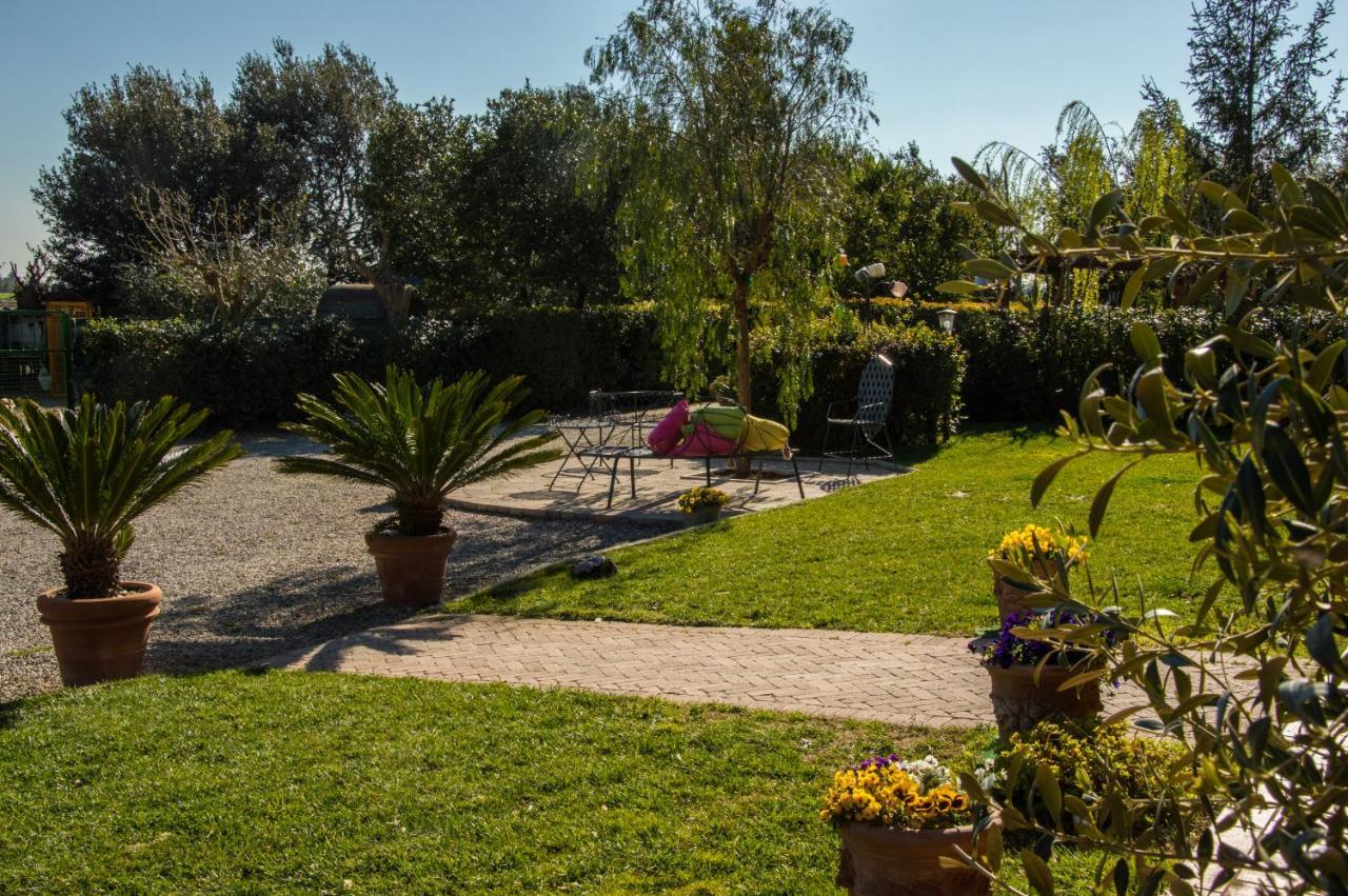 Agriturismo Il Cuscino Nel Pagliaio Campiglia Marittima Zewnętrze zdjęcie